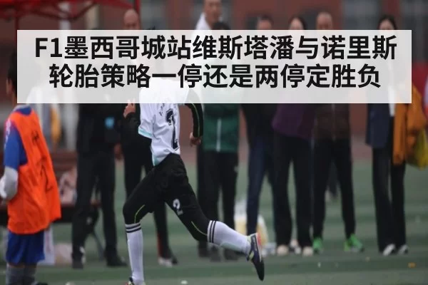 F1墨西哥城站维斯塔潘与诺里斯轮胎策略一停还是两停定胜负